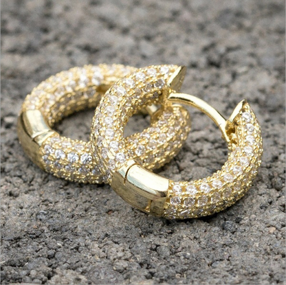 Iced Round Shape Hip Hop Hoop Earrings